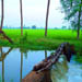 AP Tourism Papikondalu Tour Package From Hyderabad